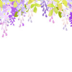 季節の花（5月・春）藤の花・藤棚のイラストフレーム（メッセージカード/パンフレット）などに利用出来る、5月をイメージした藤の花の飾り枠となります。紫をベースにし